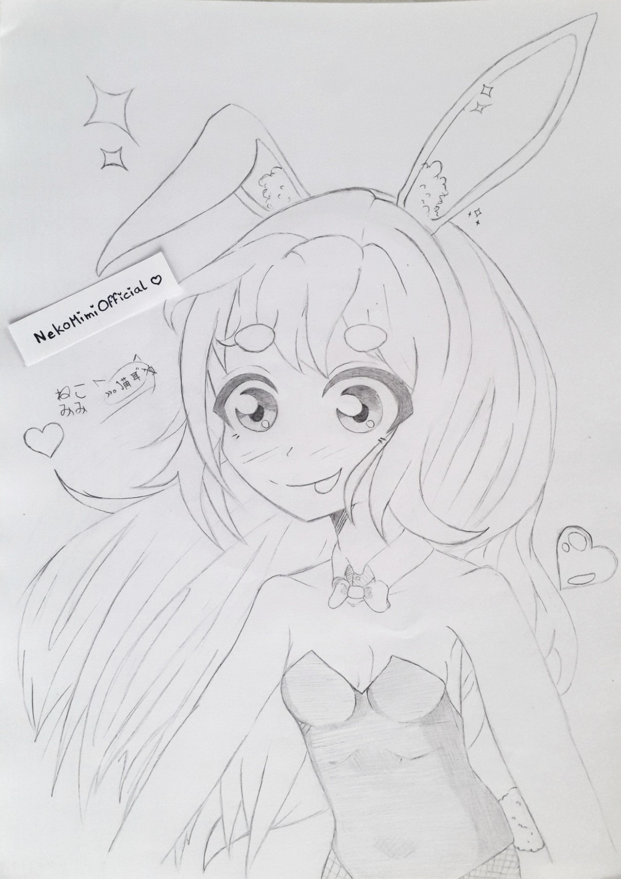 NekoMimi Akiko[耳子]:meowinvbox: (@nekomimi@sakurajima.moe) - Sakurajima (桜島）